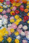 Claude Monet Canvas Paintings - Chrysanthemums 4